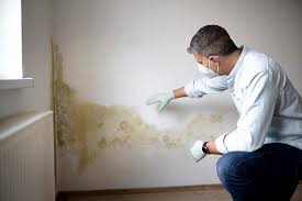 Best Mold Removal for HVAC Installations  in Northbrook, OH